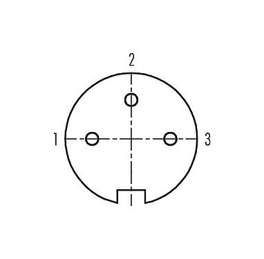 Uspořádání kontaktů (strana zástrčky) Push Pull Kabelová box, : 3, 4,0-8,0 mm, stínitelné, pájka, IP67