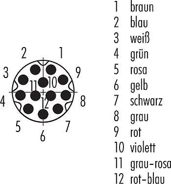 Polbild (Steckseite) M8 Kabelstecker, Polzahl: 12, ungeschirmt, am Kabel angespritzt, IP67/IP69K, UL 2238, PUR, schwarz, 12 x 0,09 mm², 2 m