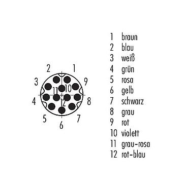 Polbild (Steckseite) M8 Kabelstecker, Polzahl: 12, ungeschirmt, am Kabel angespritzt, IP67/IP69K, UL 2238, PUR, schwarz, 12 x 0,09 mm², 2 m