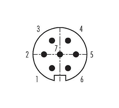 Disposition des contacts (Côté plug-in) 99 5825 15 07 - M16 Connecteur mâle, Contacts: 7 (07-a), 8,0-10,0 mm, blindable, souder, IP67, UL