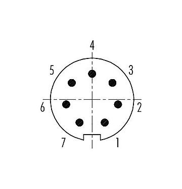 コンタクト配列（接続側） 99 4925 00 07 - プッシュ・プル オスコネクタケーブル, 極数: 7, 3.5-5.0mm, シールド可能, はんだ, IP67