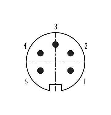 Disposition des contacts (Côté plug-in) 99 4813 00 05 - Push Pull Connecteur mâle, Contacts: 5, 4,0-8,0 mm, blindable, souder, IP67