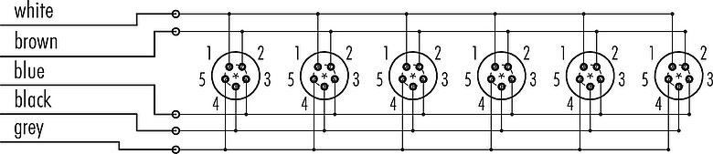 Schémas d’affectation des broches Snap-In Distributeur 6 voies, Contacts: 5, non blindé, surmoulé sur le câble, IP67, 5 x 0.75 mm²