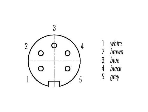 Disposizione dei contatti (lato connessione) M16 Connettore cavo femmina, Numero poli: 5 (05-a), non schermato, stampato sul cavo, IP67, PUR, nero, 5 x 0,25 mm², 2 m