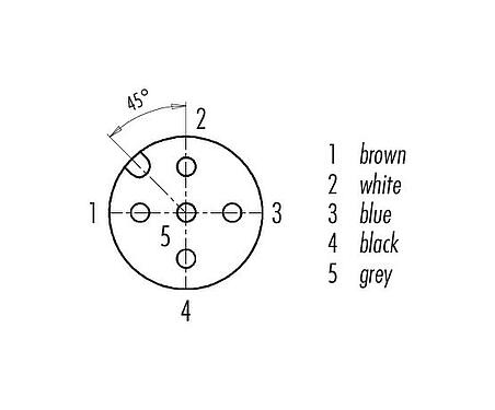 Contact arrangement (Plug-in side) M12 Female panel mount connector, Contacts: 5, unshielded, single wires, IP68/IP69K, M16x1.5, Front mounting, for outdoor, stainless steel, UV resistant, potted