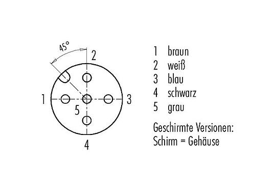 Polbild (Steckseite) M12 Kabeldose, Polzahl: 5, geschirmt, am Kabel angespritzt, IP67, UL 2238, PUR, schwarz, 5 x 0,25 mm², 2 m