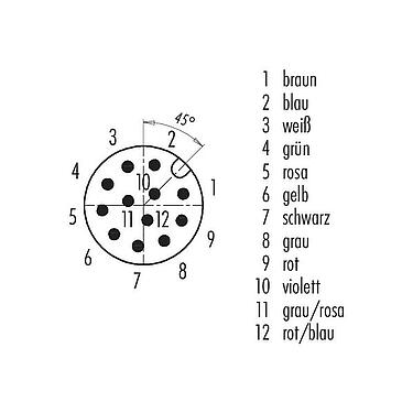 Polbild (Steckseite) M12 Kabelstecker, Polzahl: 12, ungeschirmt, am Kabel angespritzt, IP67/IP69K, UL 2238, PUR, schwarz, 12 x 0,25 mm², 10 m