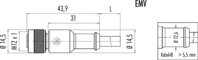 Maßzeichnung M12 Kabeldose, Polzahl: 3, geschirmt, am Kabel angespritzt, IP67, UL 2238, PVC, grau, 3 x 0,34 mm², 2 m