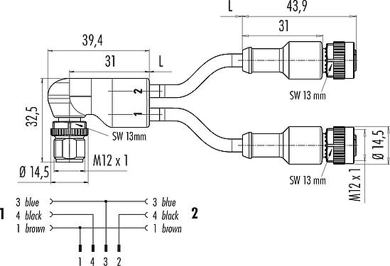 Scale drawing M12 Male angled cable splitter - 2 female cable connectors, Contacts: 4/3, unshielded, moulded on the cable, IP67, UL 2238, PUR, black, 3 x 0.34 mm², 1 m