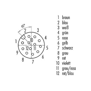 Polbild (Steckseite) M12 Flanschdose, Polzahl: 12, ungeschirmt, Litzen, IP68/IP69K, UL 2238, M16x1,5, Frontmontage, Kodierungsausrichtung positionierbar, vergossen