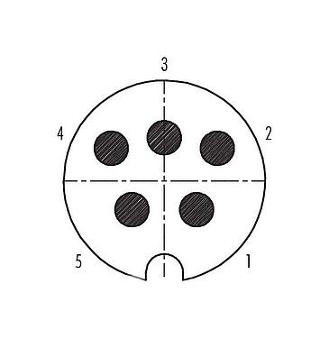 Polbild (Steckseite) M25 Kabelstecker, Polzahl: 5, 5,0-8,0 mm, schirmbar, löten, IP40