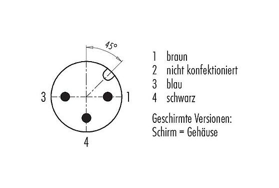 Polbild (Steckseite) M12 Kabelstecker, Polzahl: 3, geschirmt, am Kabel angespritzt, IP67, UL 2238, PVC, grau, 3 x 0,34 mm², 2 m