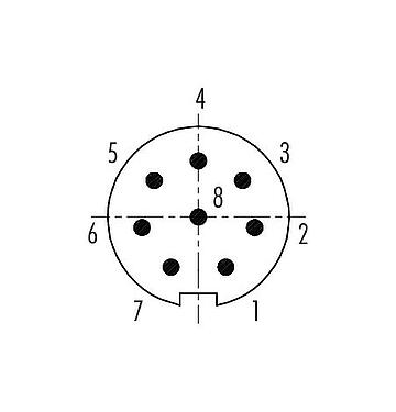 Disposizione dei contatti (lato connessione) Spingere Tirare Connettore cavo maschio, Numero poli: 8, 3,5-5,0 mm, schermabile, saldare, IP67
