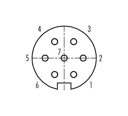 Polbild (Steckseite) Push Pull Flanschdose, Polzahl: 7, schirmbar, löten, IP67, M21x1,0, Rückwandmontage