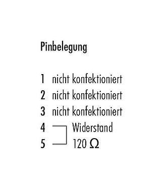 Belegungspläne M12 Abschlussstecker, Polzahl: 5, ungeschirmt, IP69K, CAN-Bus