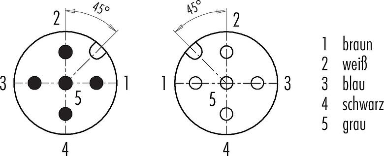 Polbild (Steckseite) M12 Verbindungsleitung Kabelstecker - Kabeldose, Polzahl: 5, ungeschirmt, am Kabel angespritzt, IP67/IP69K, UL 2238, PUR, schwarz, 5 x 0,34 mm², 2 m