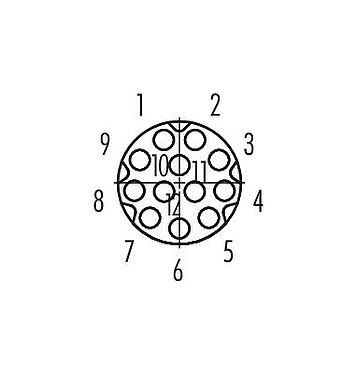 Contact arrangement (Plug-in side) M8 Female panel mount connector, Contacts: 12, unshielded, THT, IP67/IP69K, UL 2238, M10x0.75, Rear mounting, screwable from the front