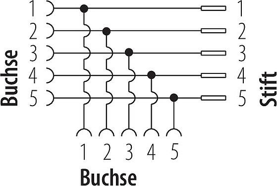 Belegungspläne 7/8" Zweifachverteiler, Polzahl: 5, ungeschirmt, IP68