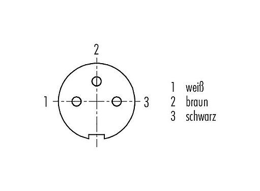 Polbild (Steckseite) M9 Kabeldose, Polzahl: 3, geschirmt, am Kabel angespritzt, IP67, PUR, schwarz, 5 x 0,25 mm², 2 m