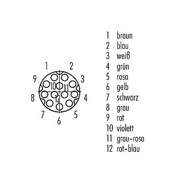 Polbild (Steckseite) M8 Kabeldose, Polzahl: 12, ungeschirmt, am Kabel angespritzt, IP67/IP69K, UL 2238, PUR, schwarz, 12 x 0,09 mm², 2 m