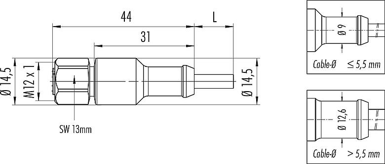 Výkres v měřítku M12 Kabelová box, : 3, nestíněný, vylisované na kabelu, IP67/IP69K, Ecolab, souladu FDA, Speciální TPE, šedá, 3 x 0,34 mm², Nerezová ocel, 2 m