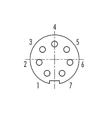 Contact arrangement (Plug-in side) Push Pull Female cable connector, Contacts: 7, 3.5-5.0 mm, shieldable, solder, IP67
