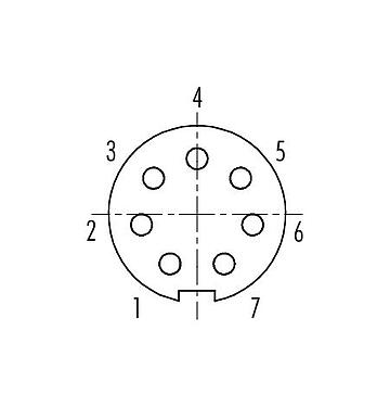 コンタクト配列（接続側） 99 4926 00 07 - プッシュ・プル メスケーブルコネクタ, 極数: 7, 3.5-5.0mm, シールド可能, はんだ, IP67