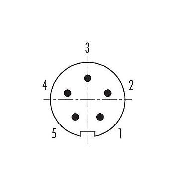 Polbild (Steckseite) M9 Kabelstecker, Polzahl: 5, 3,5-5,0 mm, schirmbar, löten, IP67, mit Schirmmanschette
