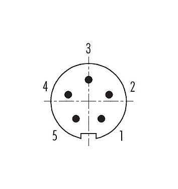 Disposition des contacts (Côté plug-in) 99 0413 115 05 - M9 Connecteur mâle, Contacts: 5, 4,0-5,5 mm, blindable, souder, IP67