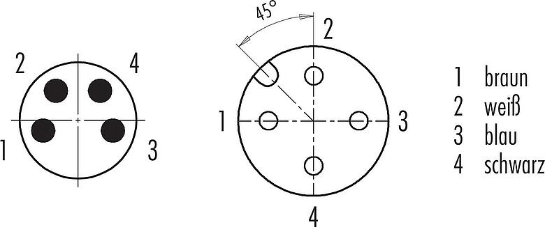 Polbild (Steckseite) M12/M8 Kabelstecker - Winkeldose, Polzahl: 4, ungeschirmt, am Kabel angespritzt, IP67/IP69K, UL 2238, PUR, schwarz, 4 x 0,34 mm², 2 m