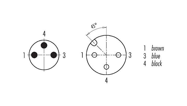 Disposition des contacts (Côté plug-in) 77 3430 3405 50003-0100 - M12 Connecteur mâle - connecteur femelle M8x1, Contacts: 3, non blindé, surmoulé sur le câble, IP67, UL, PUR, noir, 3 x 0,34 mm², 1 m
