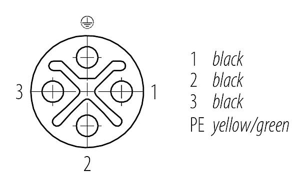 Contactconfiguratie (Insteekbereik) M12 Female haakse connector, aantal polen: 3+PE, onafgeschermd, aan de kabel aangegoten, IP68, UL, PUR, zwart, 4 x 1,50 mm², 2 m