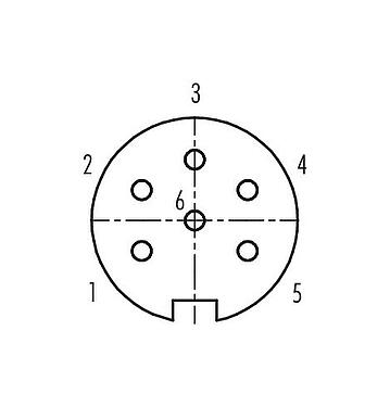 Polbild (Steckseite) Push Pull Flanschdose, Polzahl: 6, schirmbar, löten, IP67, M21x1,0, Rückwandmontage