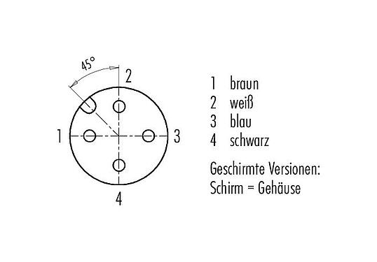 Polbild (Steckseite) M12 Kabeldose, Polzahl: 4, geschirmt, am Kabel angespritzt, IP67, UL 2238, PUR, schwarz, 4 x 0,34 mm², 2 m