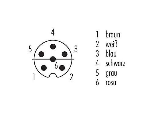 Polbild (Steckseite) M8 Kabelstecker, Polzahl: 6, ungeschirmt, am Kabel angespritzt, IP65, PUR, schwarz, 6 x 0,25 mm², Snap-in Version, 5 m