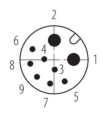 联系安排 (外掛程式側) M12 集成插头, 极数: 2+7, 焊接, IP67对插且固定时-混合连接器, 板前安装