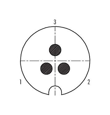 Disposition des contacts (Côté plug-in) Baïonnette Connecteur mâle, Contacts: 3, 5,0-8,0 mm, blindable, souder, IP40