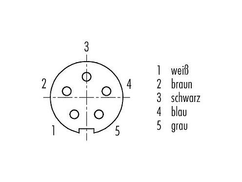 Polbild (Steckseite) M9 Kabeldose, Polzahl: 5, ungeschirmt, am Kabel angespritzt, IP67, PUR, schwarz, 5 x 0,25 mm², 5 m