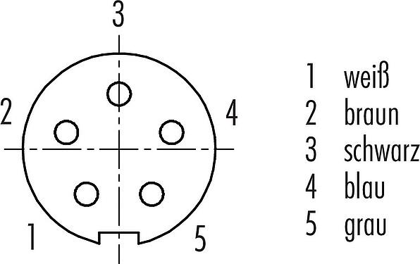 Polbild (Steckseite) M9 Kabeldose, Polzahl: 5, ungeschirmt, am Kabel angespritzt, IP67, PUR, schwarz, 5 x 0,25 mm², 5 m
