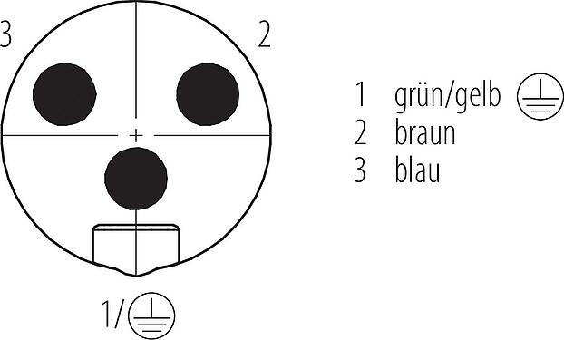Polbild (Steckseite) 7/8" Kabelstecker, Polzahl: 3, ungeschirmt, am Kabel angespritzt, IP68, UL 2238, PUR, schwarz, 3 x 1,50 mm², 2 m