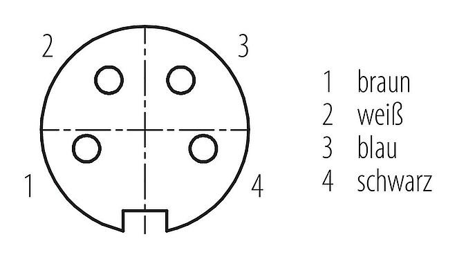 Polbild (Steckseite) M16 Kabeldose, Polzahl: 4, ungeschirmt, am Kabel angespritzt, IP67, PUR, schwarz, 4 x 0,34 mm², 5 m