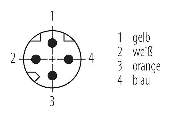Polbild (Steckseite) M8 Kabelstecker, Polzahl: 4, geschirmt, am Kabel angespritzt, IP67, Profinet/Ethernet CAT5e, PUR, grün, 4 x AWG 22, 2 m