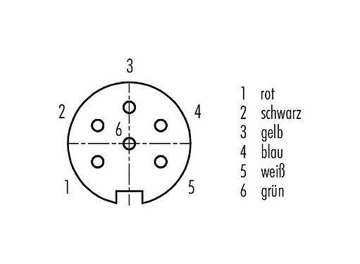 Polbild (Steckseite) M16 Kabeldose, Polzahl: 6 (06-a), geschirmt, am Kabel angespritzt, IP67, PUR, schwarz, 6 x 0,25 mm², 2 m