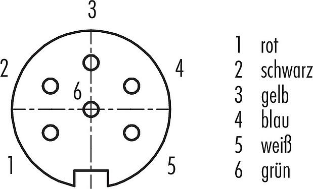 Polbild (Steckseite) M16 Kabeldose, Polzahl: 6 (06-a), geschirmt, am Kabel angespritzt, IP67, PUR, schwarz, 6 x 0,25 mm², 2 m
