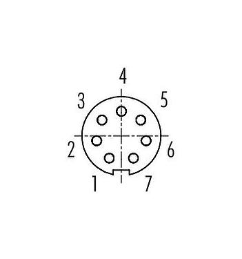 Disposición de los contactos (lado de la conexión) M9 Toma de brida, Número de contactos: 7, sin blindaje, THT, IP40, M9x0,5, Montaje frontal