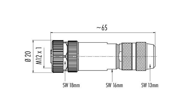 比例图 99 1434 810 04 - M12 直头孔头电缆连接器, 极数: 4, 5.0-8.0mm, 可接屏蔽, 压接（压接触点必须单独订购）, IP67, UL