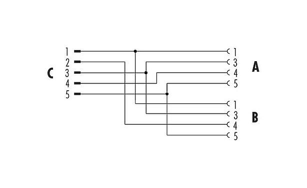 Schémas d’affectation des broches M12 Répartiteur double, Y-distributeur, mâle - 2 femelle, Contacts: 5/4, non blindé, enfichable, IP68, UL 2238