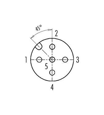 Polbild (Steckseite) M12 Flanschdose, Polzahl: 5, ungeschirmt, schraubklemm, IP67, UL 2238, VDE, M20x1,5, Frontmontage, für die Spannungsversorgung (Power)