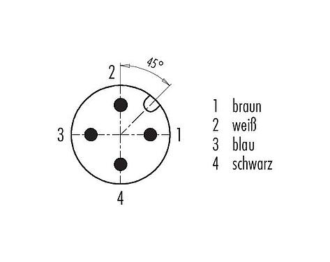 Polbild (Steckseite) M12 Kabelstecker - Kabeldose, Polzahl: 4, ungeschirmt, am Kabel angespritzt, IP68, PUR, schwarz, 4 x 1,50 mm², 2 m