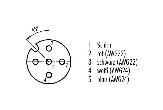 Polbild (Steckseite) M12 Kabelstecker - Kabeldose, Polzahl: 5, geschirmt, am Kabel angespritzt, IP68, UL 2238, CAN-Bus, PUR, violett, 1 x 2 x AWG 22 + 1 x 2 x AWG 24, 2 m